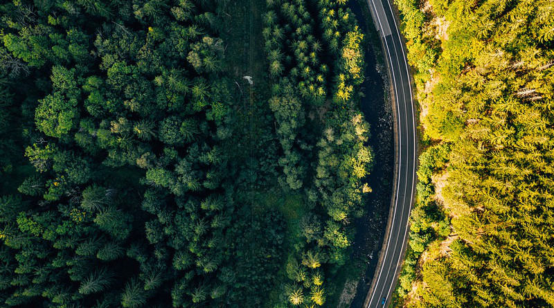 Forest Road Drone Aerial Trip Travel Poland Europe
