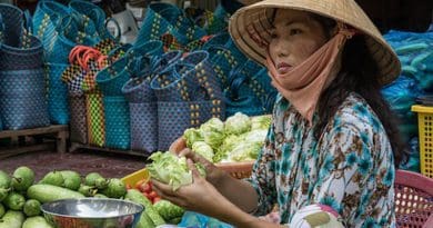 Vietnam Market Asia Vietnamese Woman