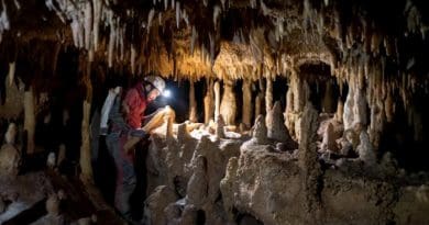 Researchers sampled this 50-cm long stalagmite in the Pozzo Cucù cave, in the Castellana Grotte area (Bari) and they carried out 27 high-precision datings and 2,700 analyses of carbon and oxygen stable isotopes. CREDIT Photo: O. Lacarbonara