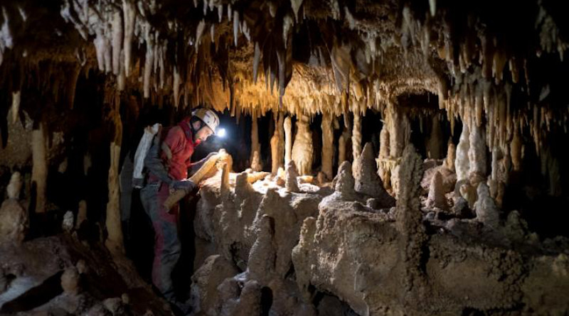 Researchers sampled this 50-cm long stalagmite in the Pozzo Cucù cave, in the Castellana Grotte area (Bari) and they carried out 27 high-precision datings and 2,700 analyses of carbon and oxygen stable isotopes. CREDIT Photo: O. Lacarbonara