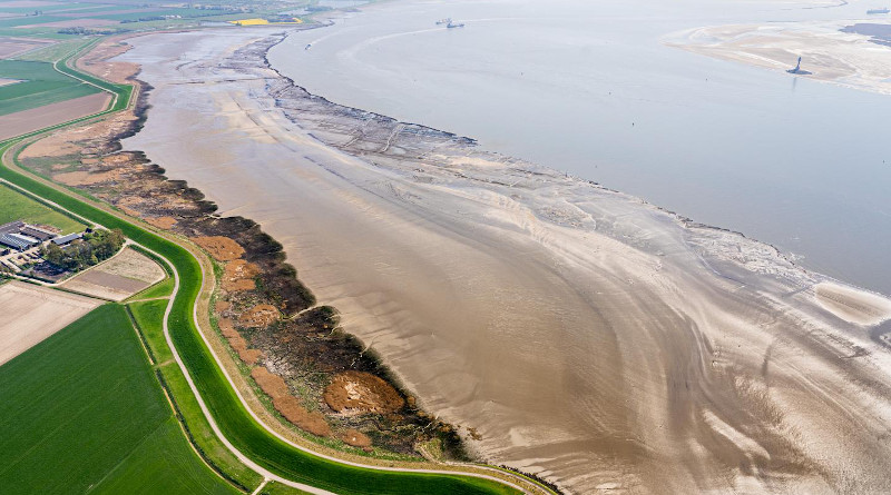 These are salt marshes in the Westerschelde (near Rilland). CREDIT: Edwin Paree