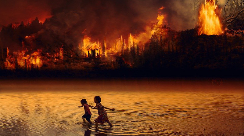 Brazil Fire Forest Fire Children Fear Flame Amazon