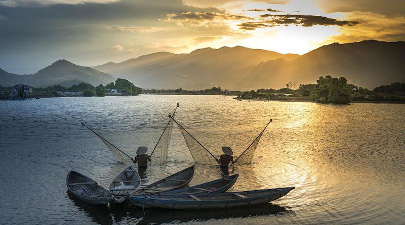 Mekong Vietnam Boat Environment Fish The Fishermen Fishing