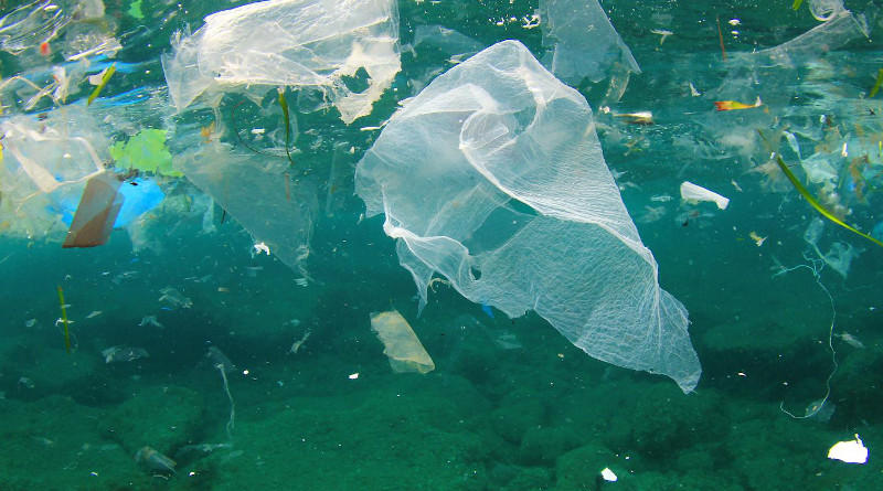New research from NUI Galway and the University of Limerick has for the first time quantified the volume of plastic from European countries (EU, UK, Switzerland and Norway) that contributes to ocean littering from exported recycling. CREDIT: Shutterstock/NUI Galway