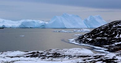 Icebergs near Greenland form from ice that has broken off--or calved--from glaciers on the island. A new study shows that the glaciers are losing ice rapidly enough that, even if global warming were to stop, Greenland's glaciers would continue to shrink. CREDIT: Photo courtesy Michalea King