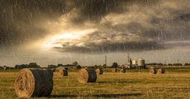 Rain Shower Storm Stormy Field Hay Farm Wheat