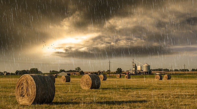 Rain Shower Storm Stormy Field Hay Farm Wheat