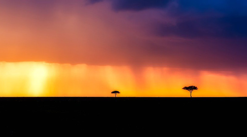 Kenya Africa Landscape Storm Raining Trees