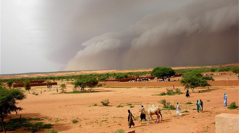 Intense dust storms, such as this haboob in Mali in August 2006, proceed torrential rain CREDIT: Françoise GUICHARD / Laurent KERGOAT / CNRS Photo Library