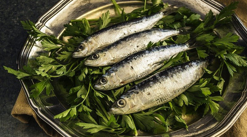 Sardines Fish Lunch Healthy Plate Delicious Omega