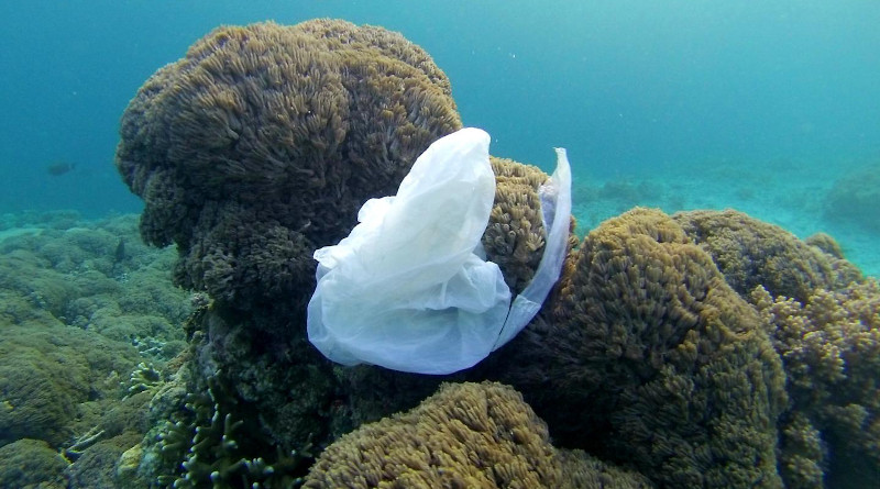 Plastic bag in the ocean CREDIT: Making Oceans Plastic Free