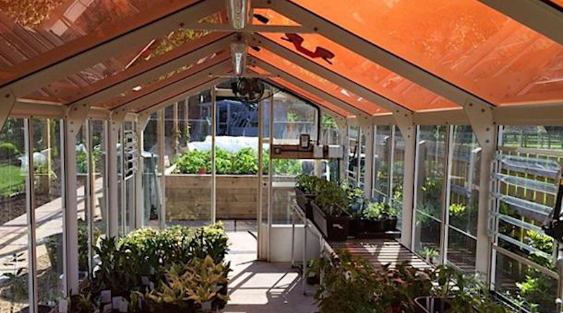 Greenhouse with tinted solar panels. CREDIT: Paolo Bombelli/University of Cambridge