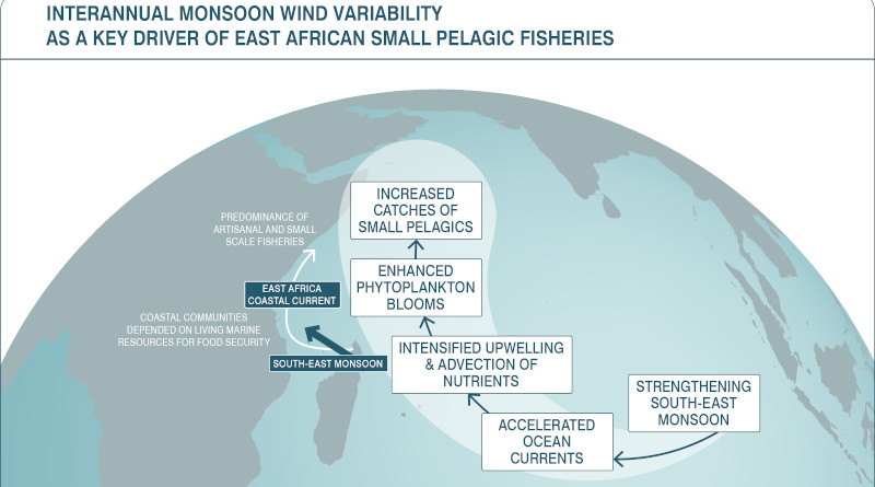 Monsoon wind variability