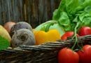 Vegetables Tomatoes Vegetable Basket Salad Garden