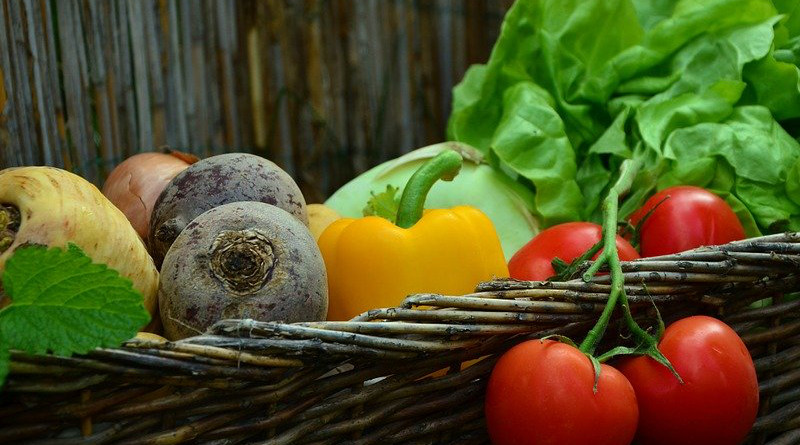 Vegetables Tomatoes Vegetable Basket Salad Garden