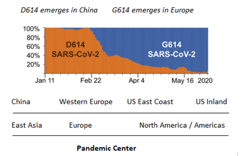 Source: Korber, Bette et al. 2020. “Tracking Changes in SARS-CoV-2 Spike.” Cell, July 3; Steinbock, Dan. 2020. The Tragedy of More Missed Opportunities, Aug 7. 