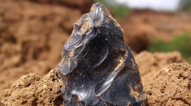 An example of a retouched point from Prospect Farm, a key feature of Middle Stone Age toolkits CREDIT: M. Grove