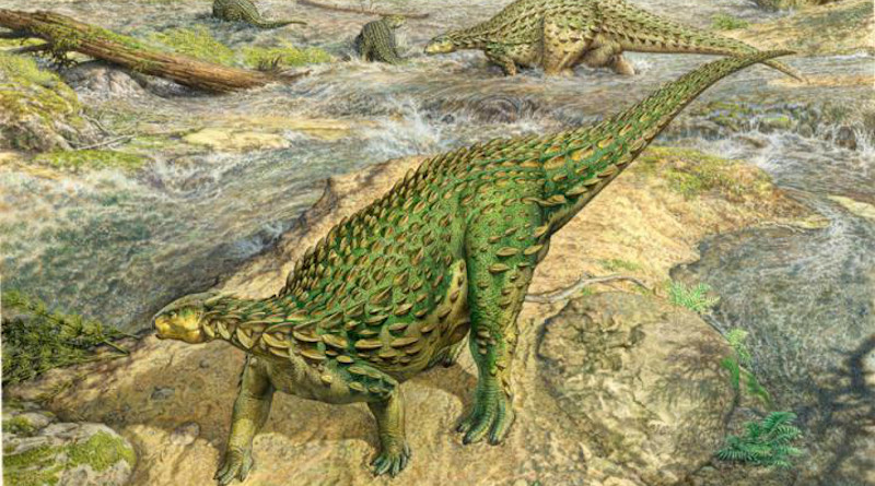 The first complete dinosaur skeleton ever identified has finally been studied in detail and found its place in the dinosaur family tree, completing a project that began more than a century and a half ago. CREDIT: John Sibbick