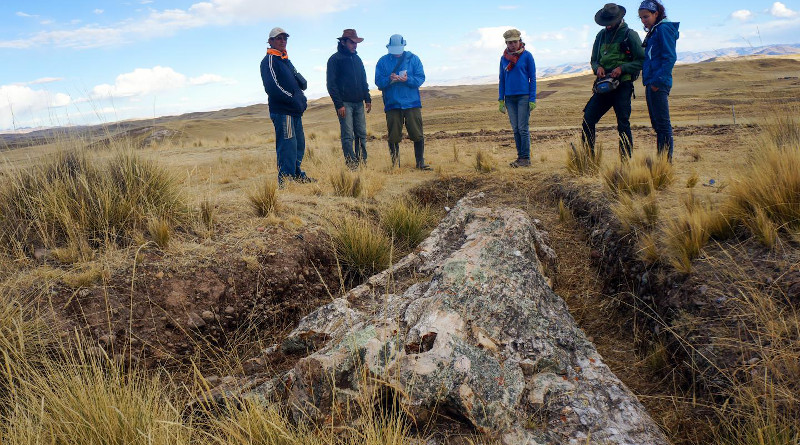 Left to right: Florentino Tunquipa who discovered and excavated the fossil tree on his land, Rodolfo Salas Gismondi, Carlos Jaramillo, Julia Tejada, Federico Moreno, Camila Martínez. San Miguel Community, Espinar Municipality, Cusco Department, Peru. 2014 CREDIT: Rodolfo Salas Gismondi
