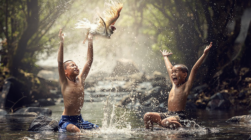 Malaysia Asia Children River Birds Splash Water Boys Animals