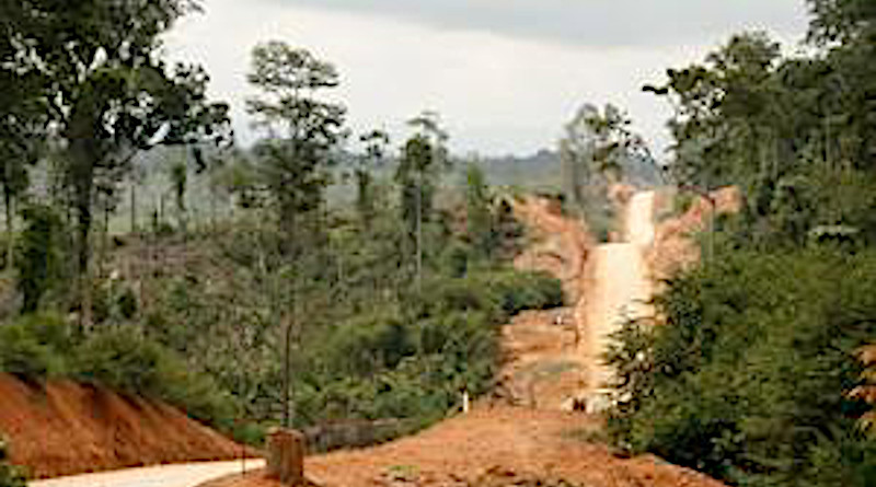 Deforestation to plant oil palms on a heavily weathered soil in the tropics. CREDIT: Oliver van Straaten