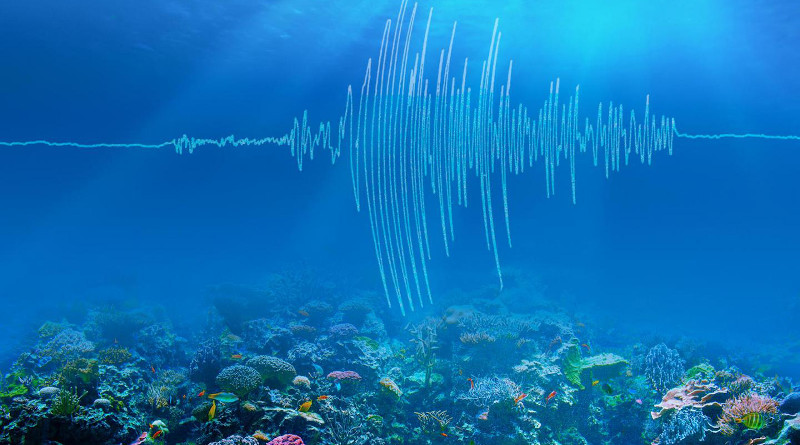 An artist's rendering of undersea earthquake waves. CREDIT: Caltech