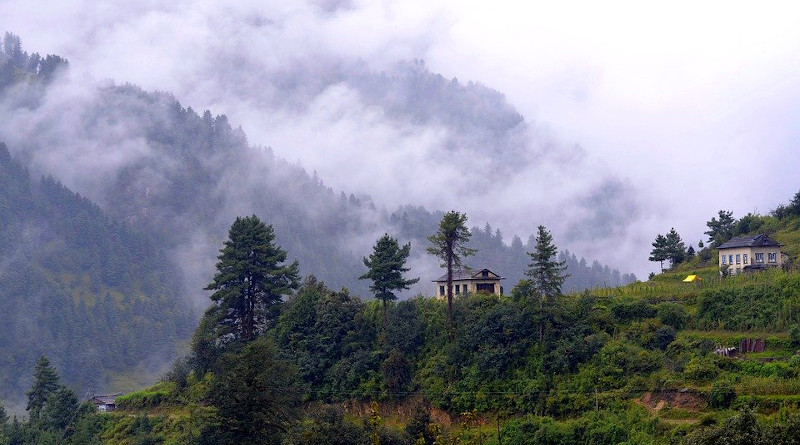 Nepal Forest Nature Trekking Mountains Landscape