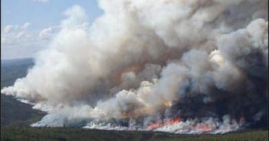 A wildfire burns in an Alaskan boreal forest. CREDIT: Merritt Turetsky
