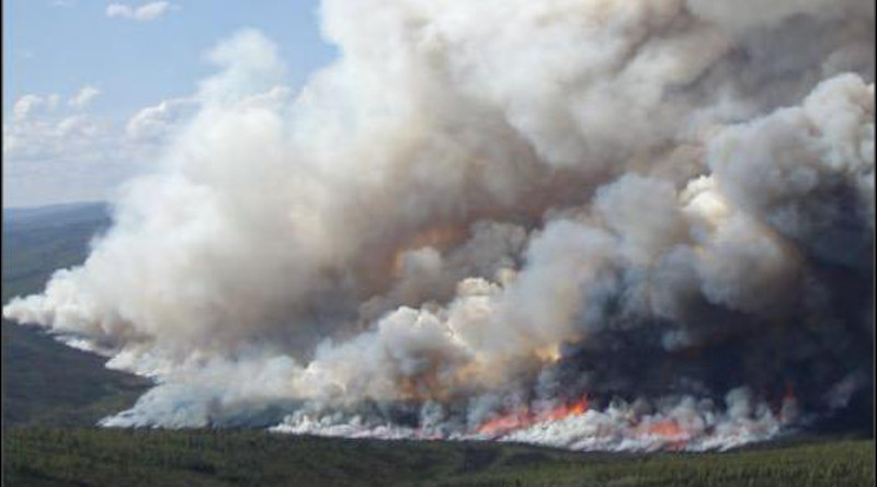 A wildfire burns in an Alaskan boreal forest. CREDIT: Merritt Turetsky