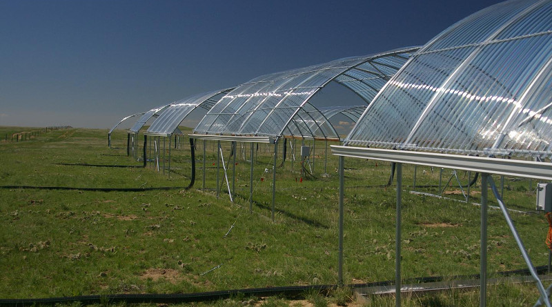 Experimental drought shelter near Hays, Kansas CREDIT: Alan Knapp