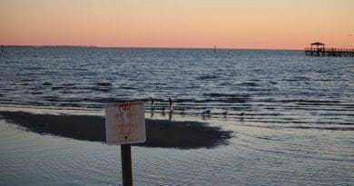 Danger Dock Gulf Gulf Of Mexico Ocean Post Sea