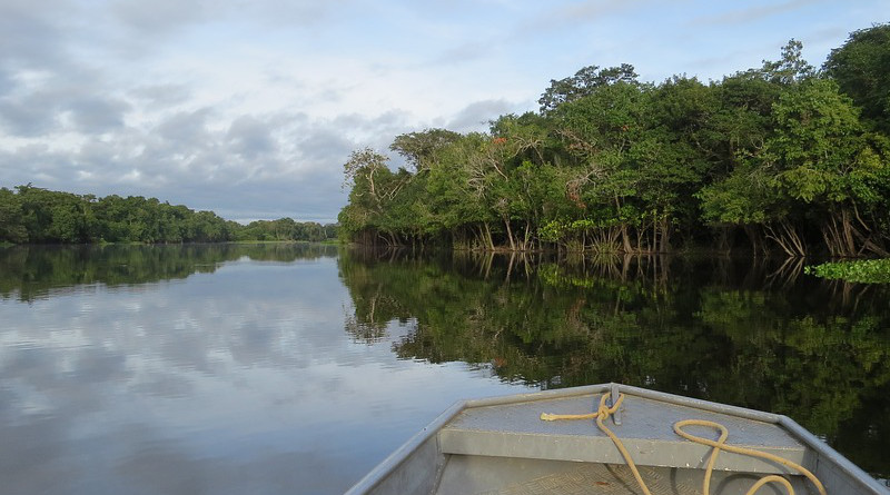 Brazil Rio Guaporé Amazon Nature Boat Jungle Forest