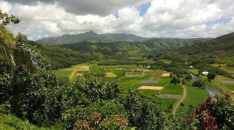 Hawaii Farms Landscape Agriculture Tropical