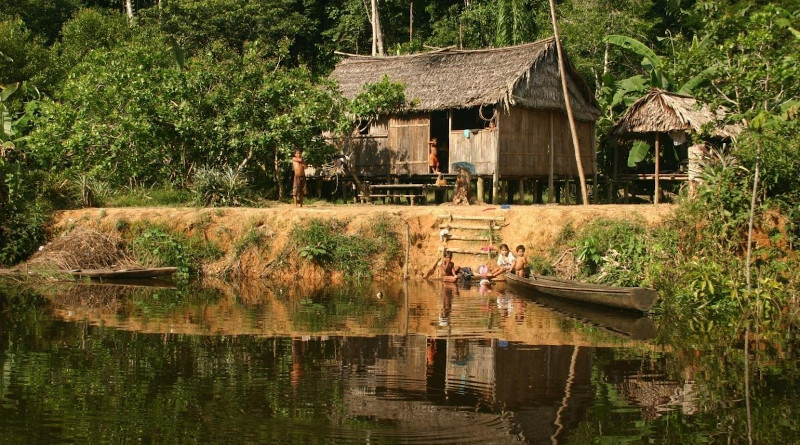 This photograph, taken in the Médio Juruá region of Amazonas State, Brazil. shows the houses of forest-proximate people living in sustainable development reserves in Amazonia. CREDIT: Peter Newton, University of Colorado Boulder