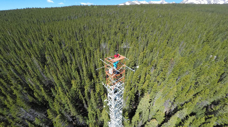 A tall tower with instruments to measure carbon dioxide and light at Niwot Ridge, Colorado. CREDIT: Christian Frankenberg
