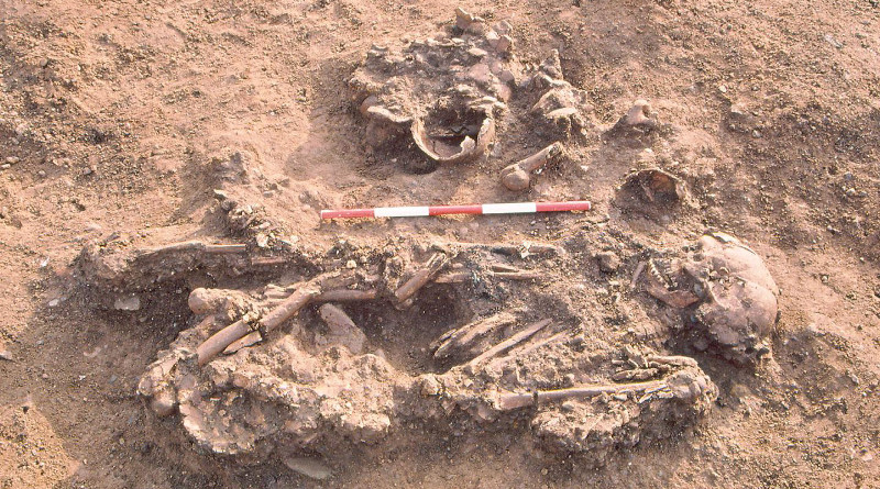 Burial of a woman from Windmill Fields, Stockton-upon-Tees accompanied by skulls and limb bones from at least 3 people. The 3 people represented by the skulls and long bones had died 60-170 years before the woman with whom they were buried. CREDIT: Tees Archaeology