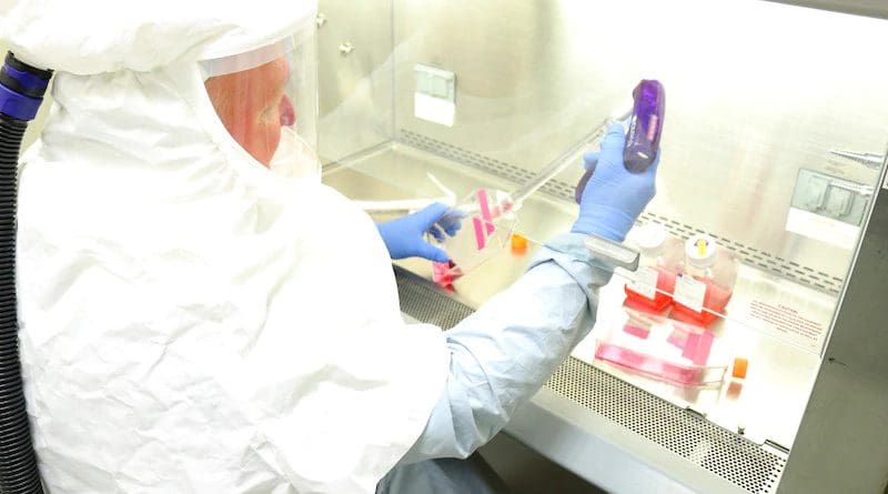 Research microbiologist Brian Kearney harvests samples of coronavirus at the U.S. Army Medical Research Institute of Infectious Diseases, Fort Detrick, Md., March 3, 2020. This virus stock will be used to develop models of infection for coronavirus, as well as diagnostic tests, vaccines and therapeutics. Photo Credit: William Discher, Army