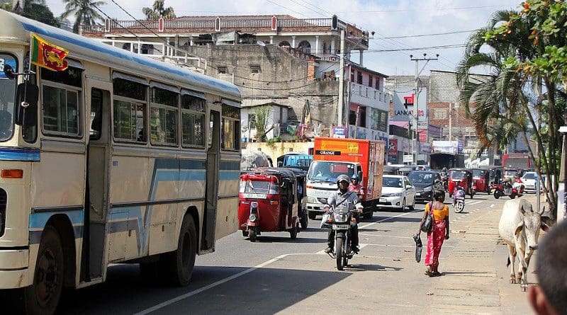 Cow Sri Lanka Road Human Traffic Tuk Tuk Auto Bus