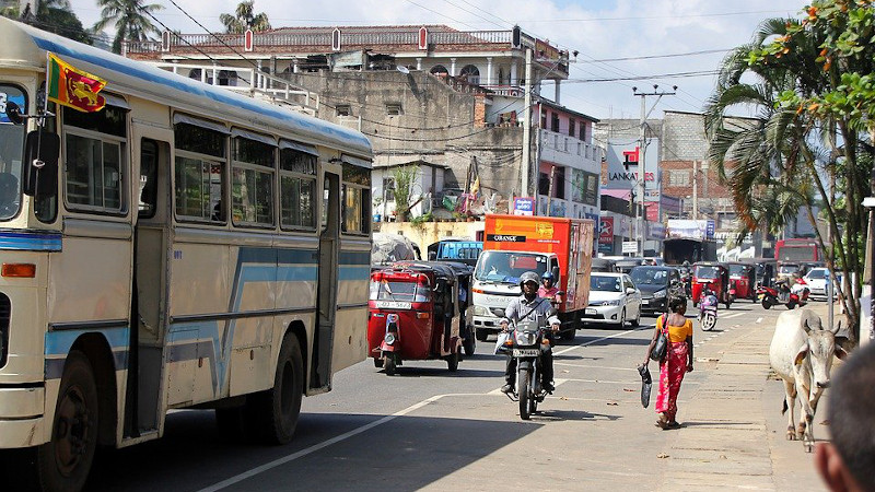 Cow Sri Lanka Road Human Traffic Tuk Tuk Auto Bus