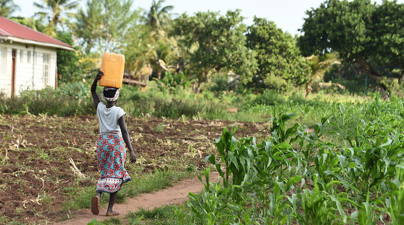 Farm Water Woman Fetching Girl Female People Africa