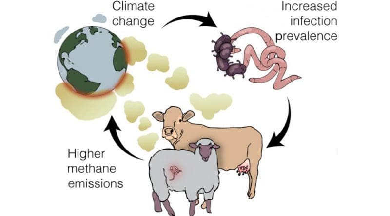 Researchers identified a potential feedback loop arising from interactions among climate, infectious diseases and methane emissions. (Image courtesy of Trends in Ecology & Evolution) CREDIT: Image courtesy of Trends in Ecology & Evolution