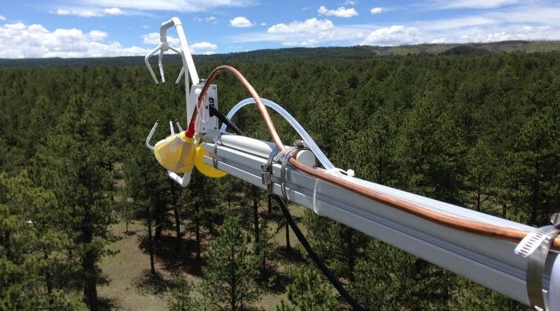 Instrumentation inlets and the view from the top of the tower at the Manitou Experimental Forest Observatory near Woodland Park, Colorado CREDIT: Delphine Farmer, CSU