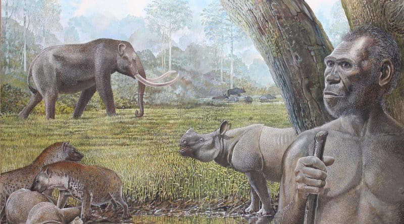 Artist's reconstruction of a savannah in Middle Pleistocene Southeast Asia. In the foreground Homo erectus, stegodon, hyenas, and Asian rhinos are depicted. Water buffalo can be seen at the edge of a riparian forest in the background CREDIT: Peter Schouten