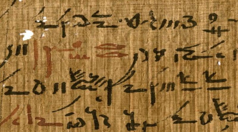 Detail of a medical treatise (inv. P. Carlsberg 930) from the Tebtunis temple library with headings marked in red ink. Image credit: The Papyrus Carlsberg Collection. CREDIT The Papyrus Carlsberg Collection.