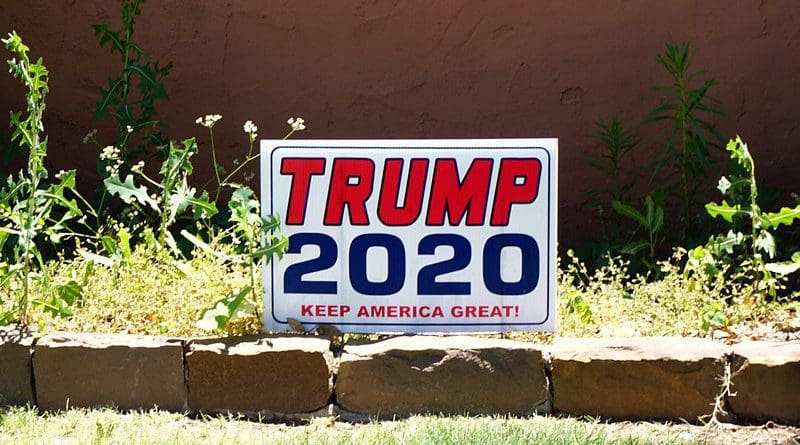 Politics Trump 2020 President Usa Election Vote