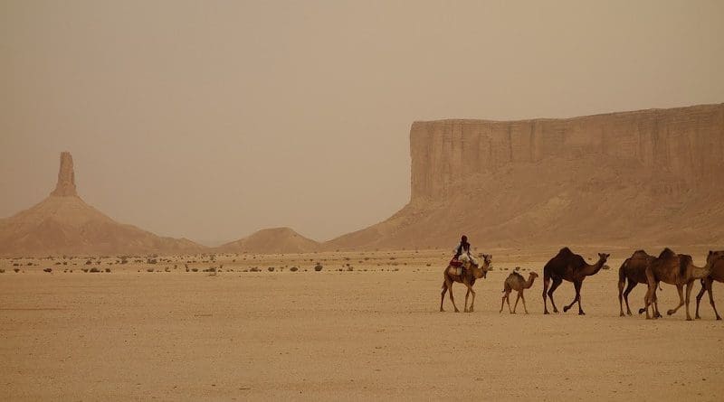 Camel Train Saudi Arabia Ramadan Ramadhan