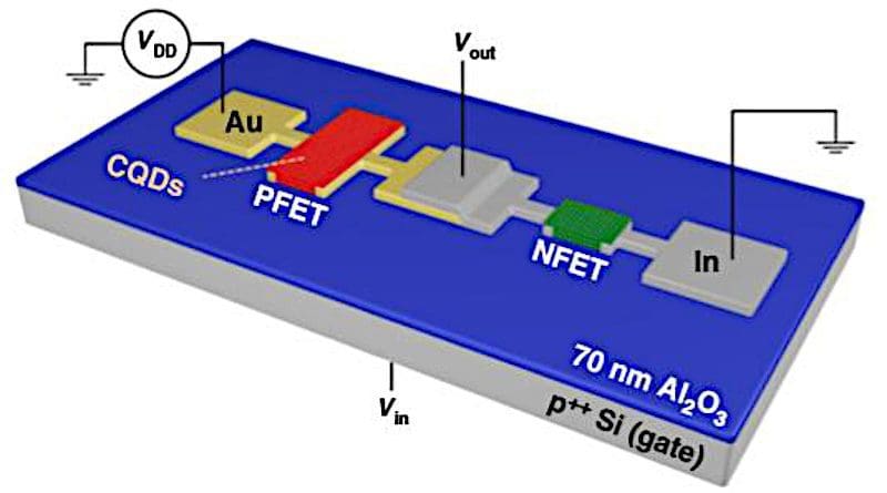 By depositing gold (Au) and Indium (In) contacts, researchers create two crucial types of quantum dot transistors on the same substrate, opening the door to a host of innovative electronics. CREDIT: Los Alamos National Laboratory/University of California, Irvine