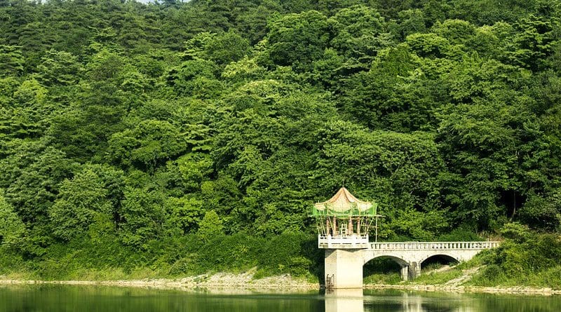 Forest China Guizhou Guiyang