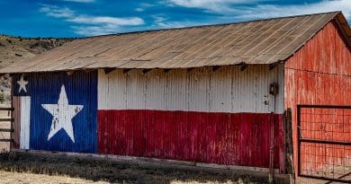 Texas Barn Metal Ranch Farm Lone Star Painted