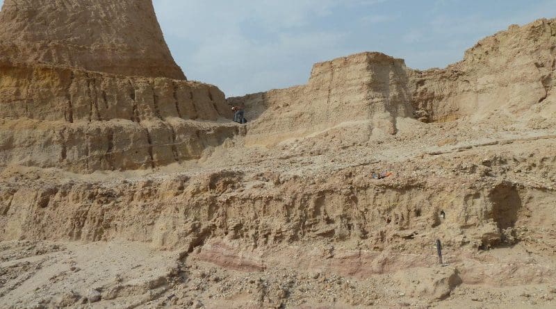 Prof. Hema Achyuthan examining the deep river sediments at Nal Quarry, which date from ~172 thousand years ago at the bottom to 26 thousand years ago at the top. CREDIT: J. Blinkhorn